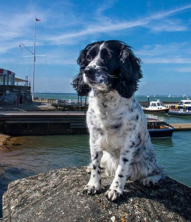 Gray'S Inn Cowes  Eksteriør bilde